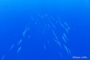 IMG_5759