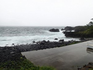 P7170143-420x315