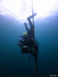 IMG_8865