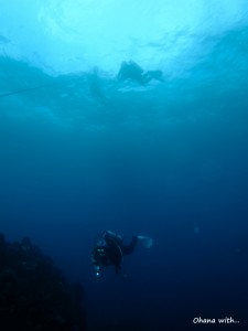 DSCF7098