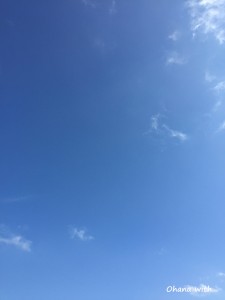 IMG_4163