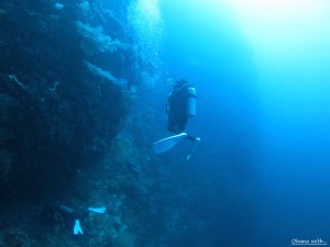 IMG_0299