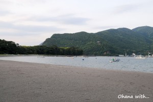 DSC_0375