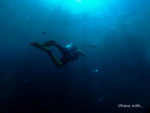 DSCF8879