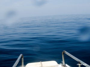 DSCF0410