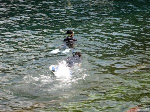 IMG_5608