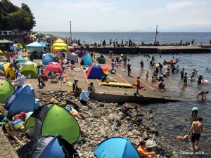 IMG_6975