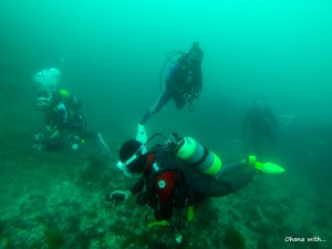 DCIM100GOPRO