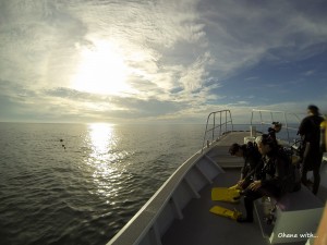 DCIM100GOPRO