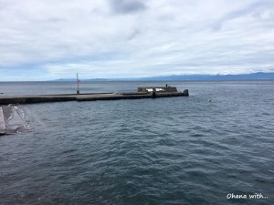 IMG_7553