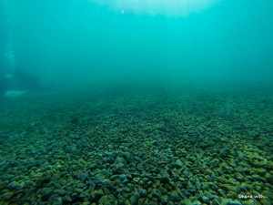 DCIM100GOPRO