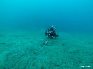 DCIM100GOPRO