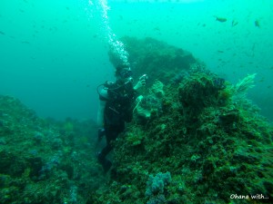 DCIM100GOPRO