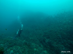 DCIM100GOPRO