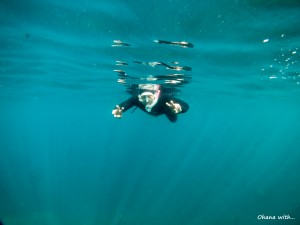IMG_7888