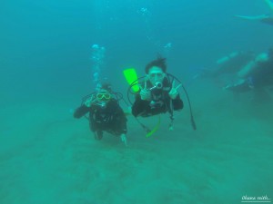DCIM100GOPRO