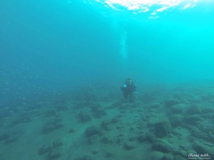 DCIM100GOPRO