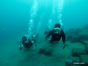 DCIM100GOPRO