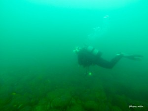 DCIM100GOPRO