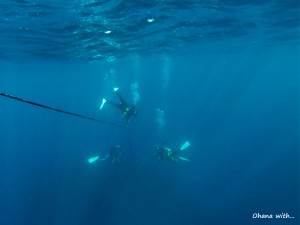 DCIM100GOPRO