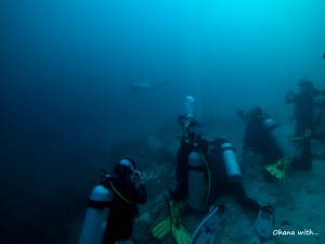 DCIM100GOPROGOPR0077.JPG