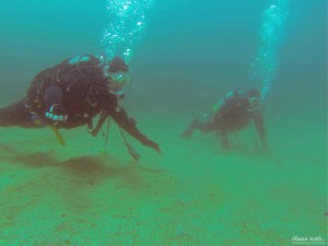 DCIM100GOPRO