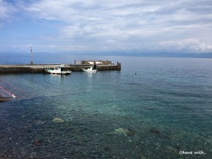 IMG_4551