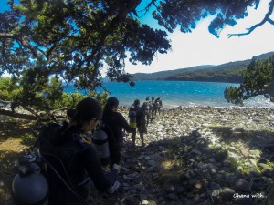 DCIM100GOPRO