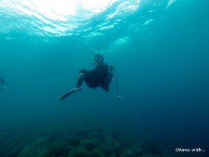DCIM100GOPRO