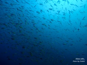 DCIM100GOPROGOPR0652.JPG