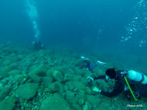 DCIM100GOPRO