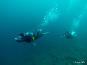 DCIM100GOPRO