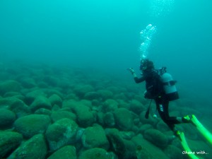 DCIM100GOPRO