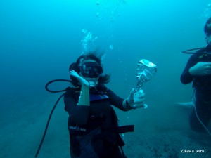 DCIM100GOPRO