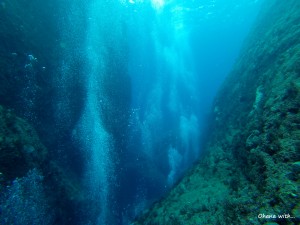 DCIM100GOPRO