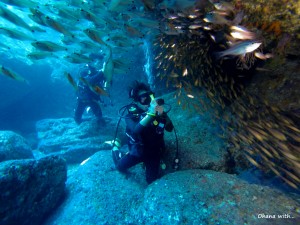 DCIM100GOPRO