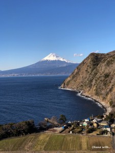 IMG_1475