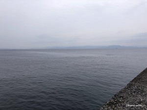 IMG_2211