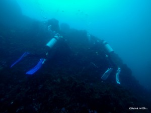 DCIM100GOPROG0376270.JPG