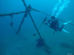 DCIM100GOPROGOPR9859.JPG