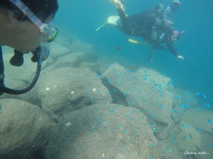 DCIM100GOPROGOPR0118.JPG