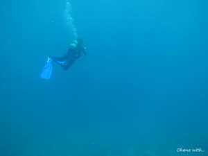 DCIM100GOPROGOPR0141.JPG