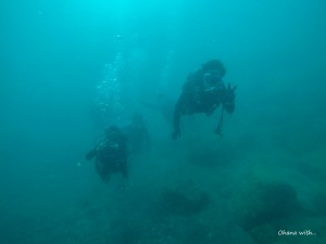 DCIM100GOPROGOPR0206.JPG