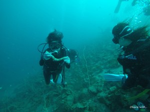 DCIM100GOPROGOPR0230.JPG