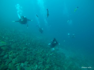 DCIM100GOPROGOPR0233.JPG