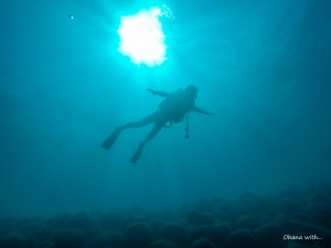 DCIM100GOPROGOPR0242.JPG