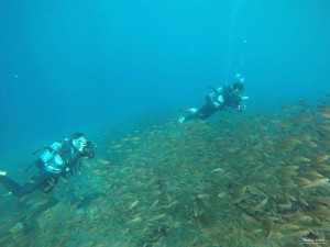 DCIM100GOPROGOPR0369.JPG