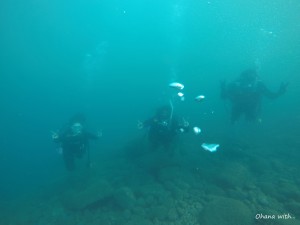 DCIM101GOPROGOPR3199.JPG