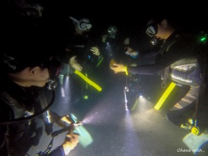 DCIM101GOPROGOPR3354.JPG