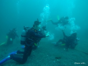 DCIM101GOPROGOPR6256.JPG